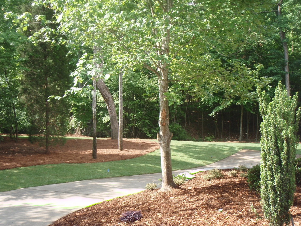 Natural Areas by Nature One Landscape Design - Photo 5