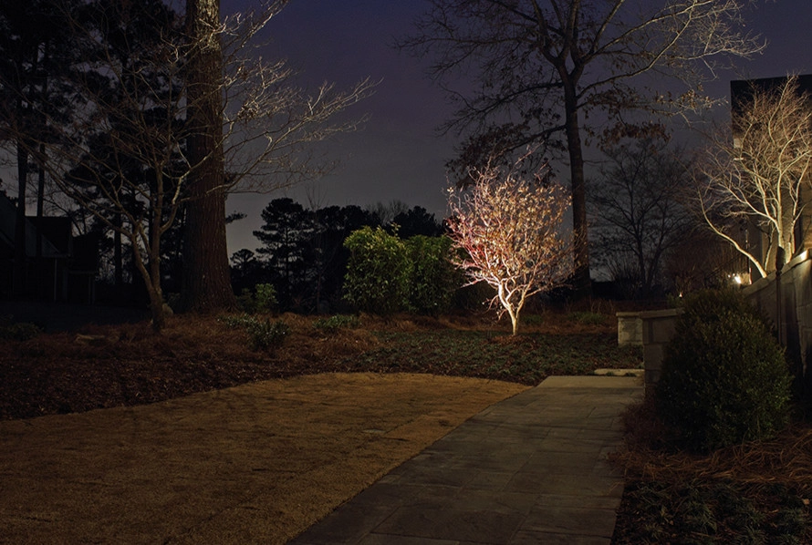 Landscape Lighting by Nature One Landscape Design - Photo 8