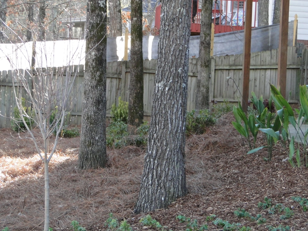 Natural Areas by Nature One Landscape Design - Photo 14