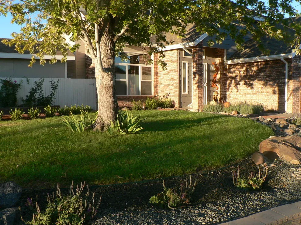 Garden Design by Nicole Décor & Design LLC - Photo 5