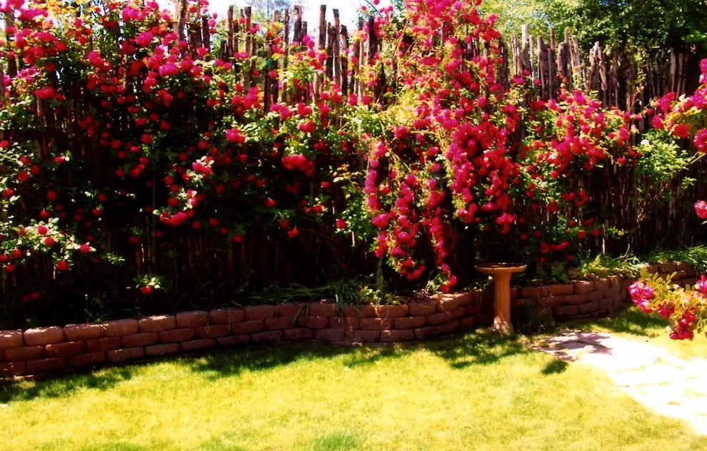 Garden Design by Nicole Décor & Design LLC - Photo 6