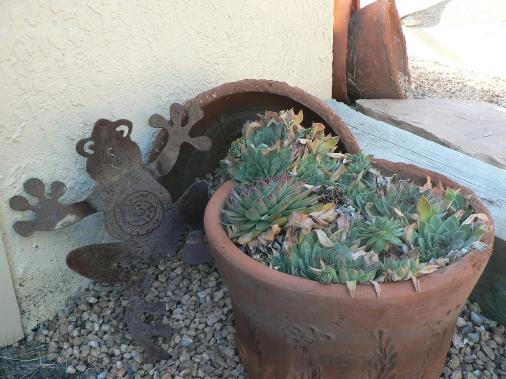 Garden Design by Nicole Décor & Design LLC - Photo 11