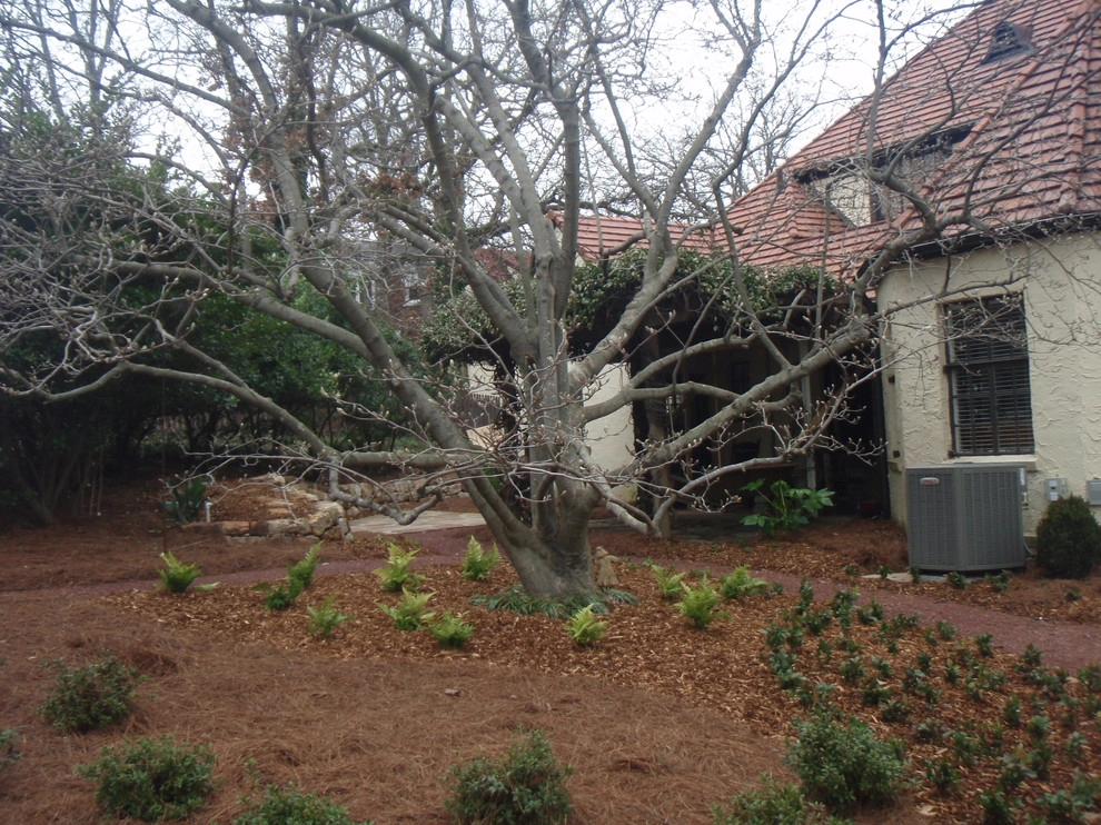 Natural Areas by Nature One Landscape Design - Photo 7