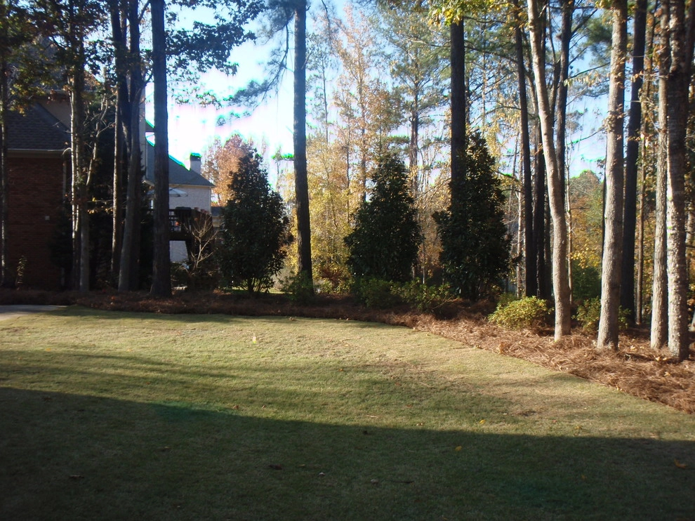 Natural Areas by Nature One Landscape Design - Photo 17