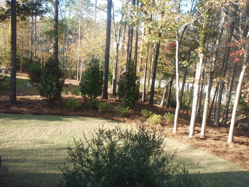 Natural Areas by Nature One Landscape Design - Photo 8