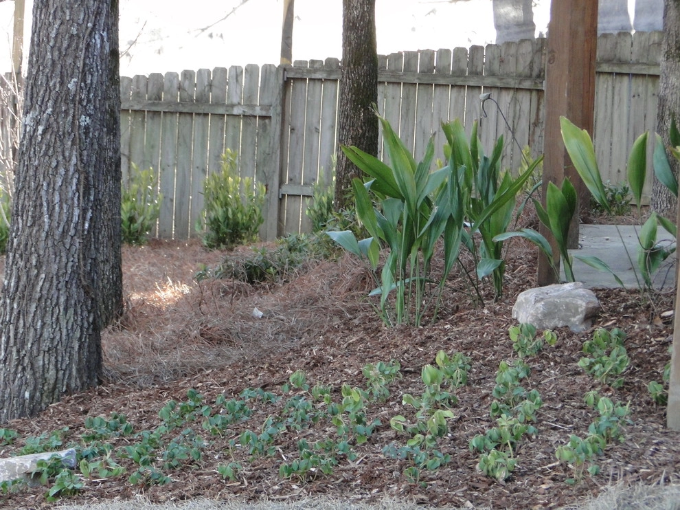Natural Areas by Nature One Landscape Design - Photo 3