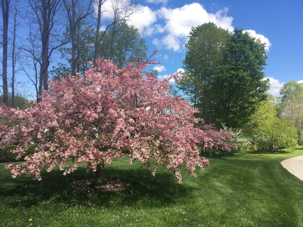 Organic Lawn Fertilization Old Chatham, NY by Nature Works Land Care Inc. - Photo 4