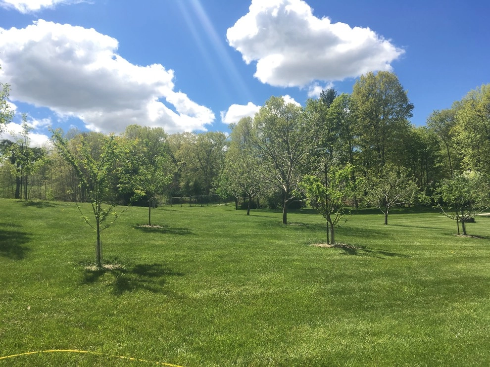 Organic Lawn Fertilization Old Chatham, NY by Nature Works Land Care Inc. - Photo 2
