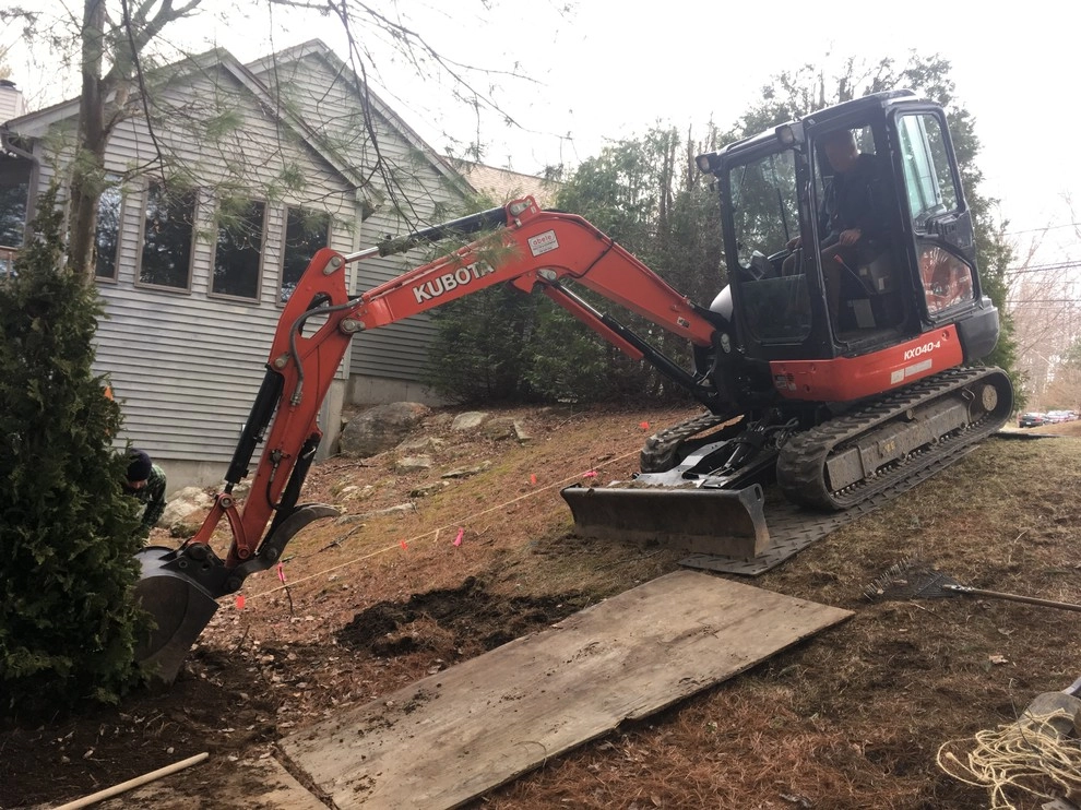 Arborvitae "Living Fence" Tree Installation by Nature Works Land Care Inc. - Photo 3
