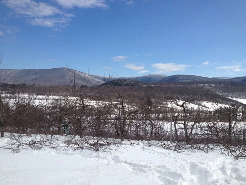 Seasonal pruning clients by Nature Works Land Care Inc. - Photo 4