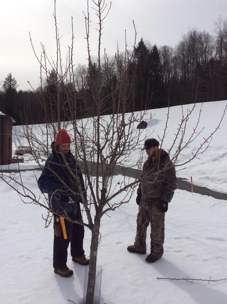 Seasonal pruning clients by Nature Works Land Care Inc. - Photo 3