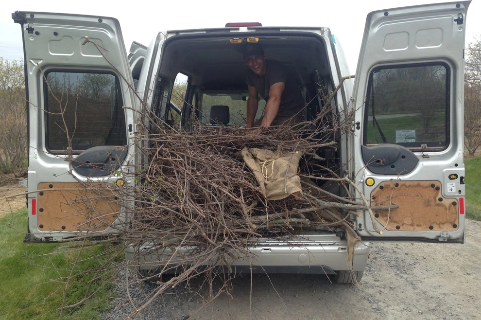 Large Tree Installation at Circle Ridge Farm by Nature Works Land Care Inc. - Photo 2