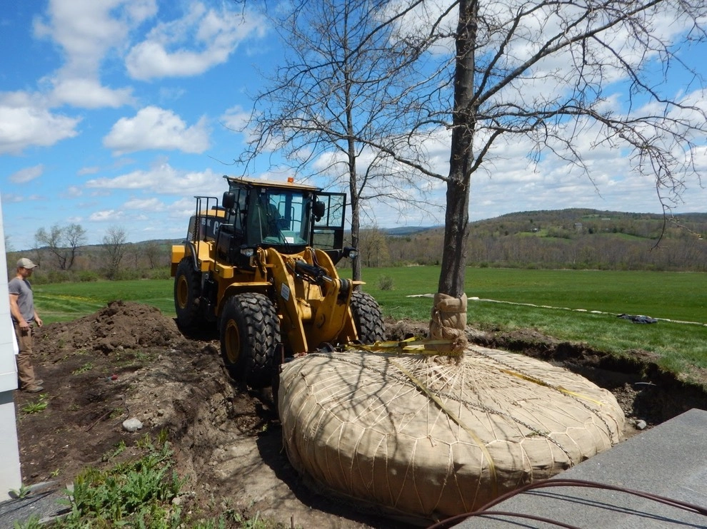 Large Tree Installation at Circle Ridge Farm by Nature Works Land Care Inc. - Photo 4