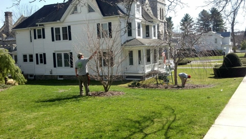 Seasonal pruning clients by Nature Works Land Care Inc. - Photo 2
