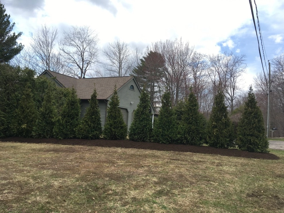 Arborvitae "Living Fence" Tree Installation by Nature Works Land Care Inc. - Photo 2