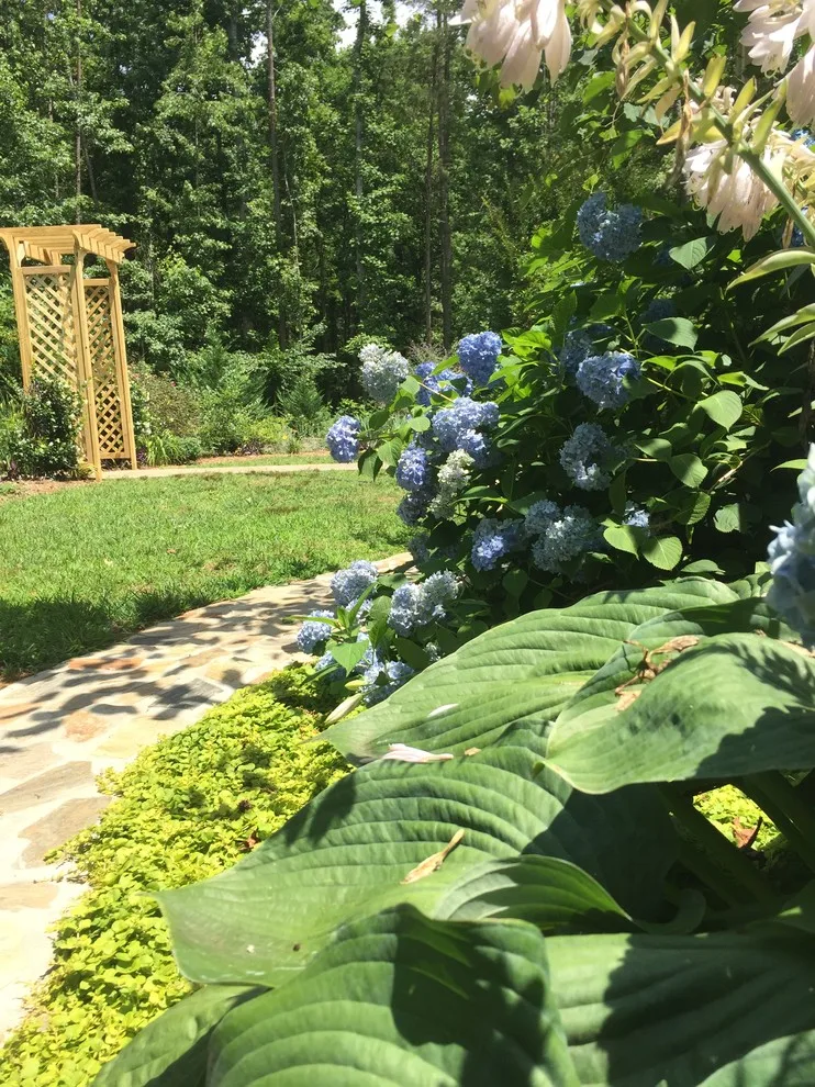 Opulent Poolside Gardens and the Elegance of Stone by R.D. London Studios - Photo 2