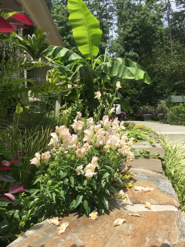 Opulent Poolside Gardens and the Elegance of Stone by R.D. London Studios - Photo 6