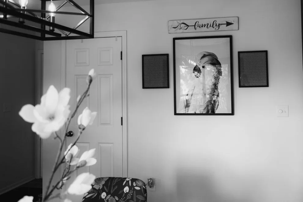 Opulent Blossom Home by The Whitley Co. Interiors - Photo 11