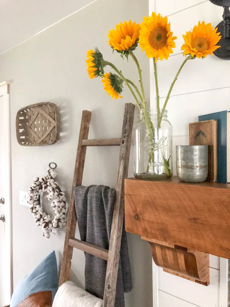 Madera Homestead by Home Dot Designs - Photo 19