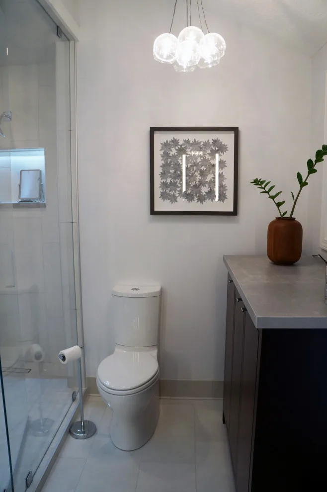 Primary Suite Renovation by Amethyst Interiors LLC - Photo 23