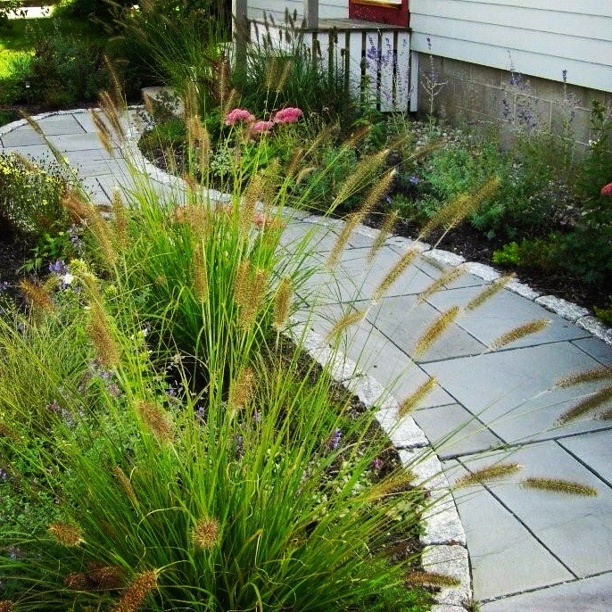 Walkways by New England Landscapes, Inc. - Photo 6