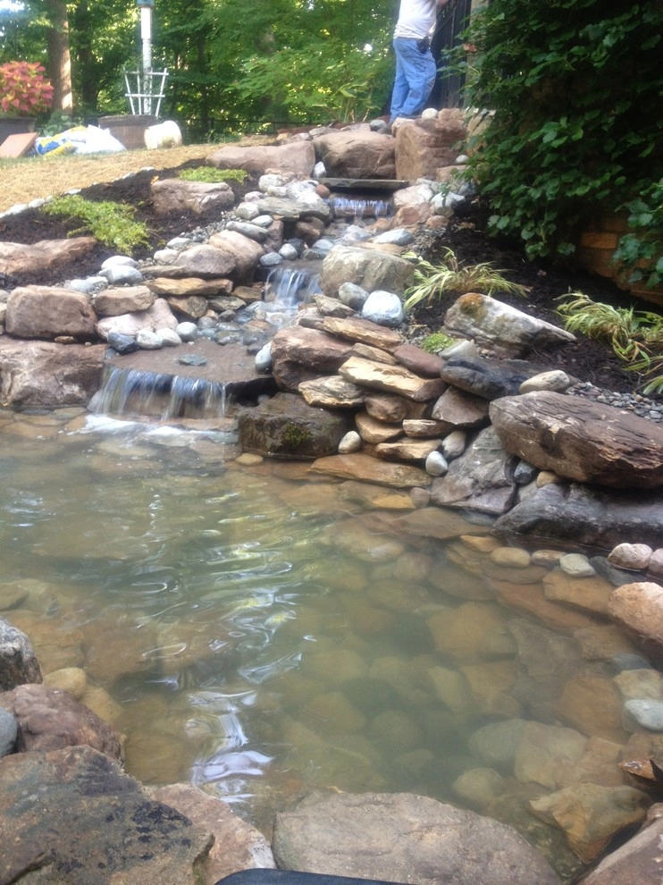 New Garden Landscaping & Nursery - Photo 13