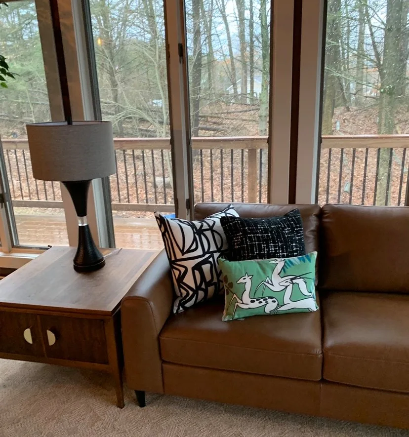 Sparta Mid-Century Modern Renovation by K LINN Interiors - Photo 2