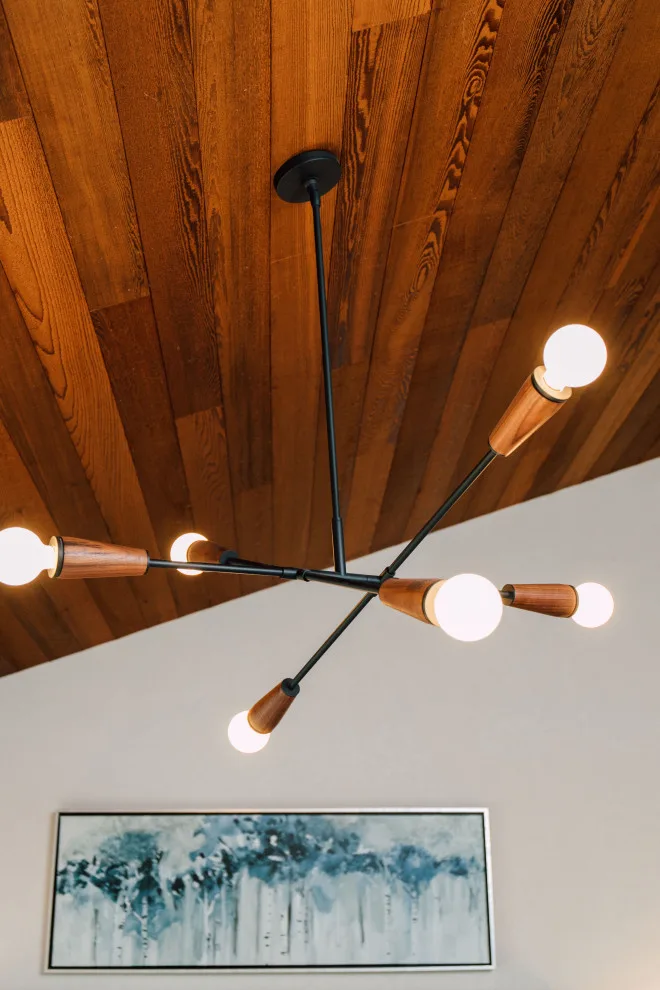 Mid Century Revitalization by Jennifer Ryan Design - Photo 5