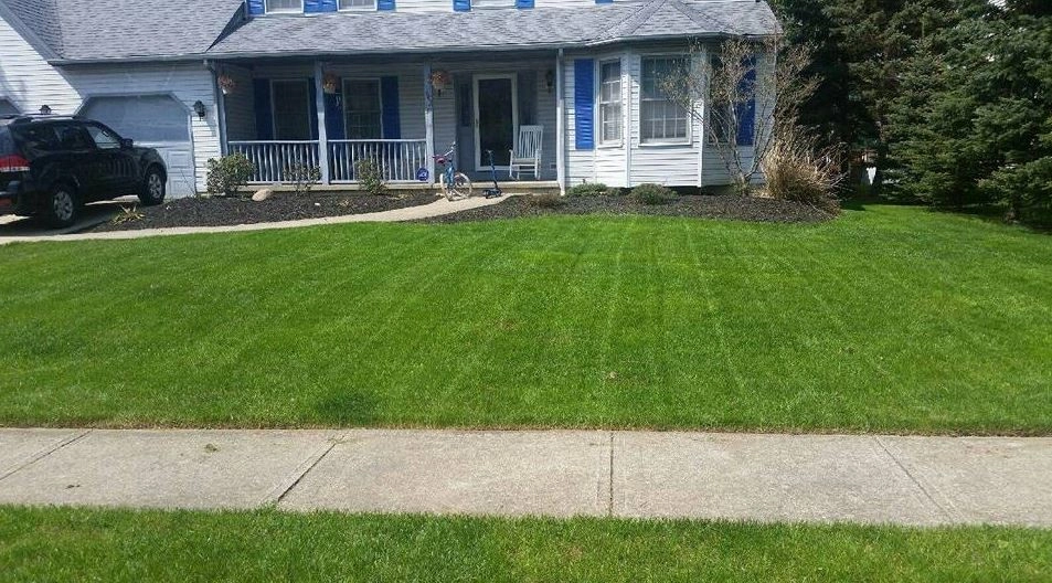 New Life Lawn Services & Snow Removal - Photo 2