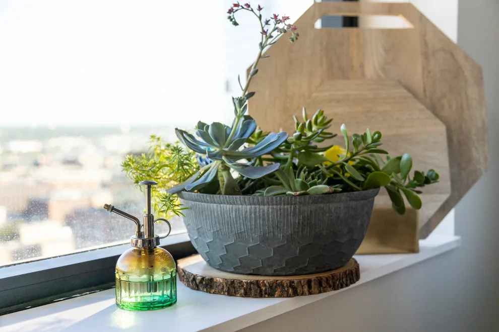 Penthouse 365 Minneapolis by Studio A - Photo 22