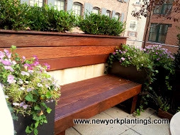 NY Rooftop Deck and Garden Redesign by New York Plantings Garden Design - Photo 8