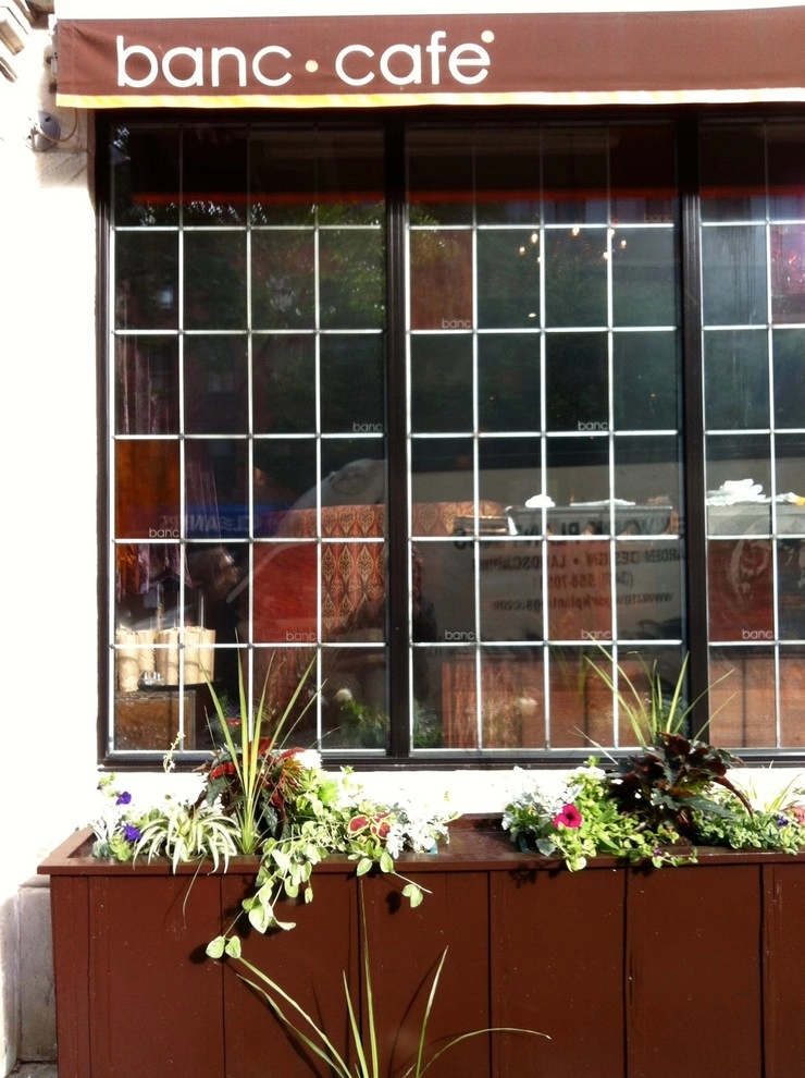 Various NYC Projects by New York Plantings Garden Design - Photo 22