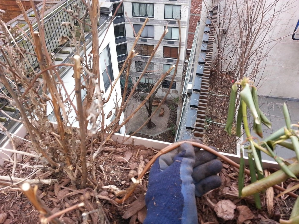 NYC Penthouse Terrace Garden and Automatic Drip Irrigation watering System by New York Plantings Garden Design - Photo 6