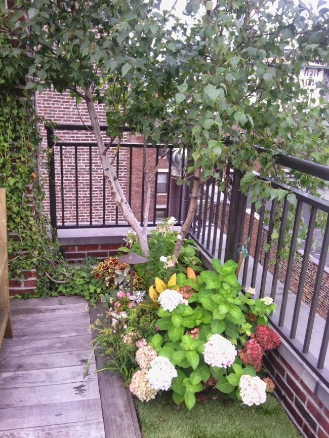 Various NYC Projects by New York Plantings Garden Design - Photo 26