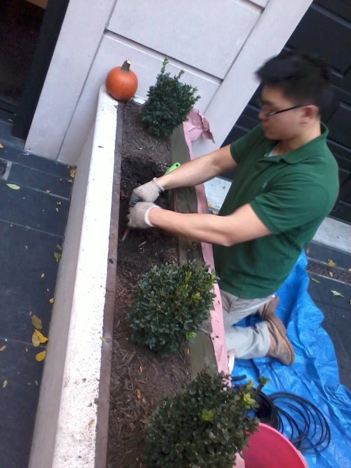 NYC Penthouse Terrace Garden and Automatic Drip Irrigation watering System by New York Plantings Garden Design - Photo 33