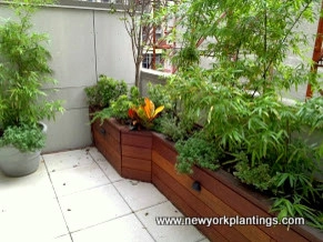 NY Rooftop Deck and Garden Redesign by New York Plantings Garden Design - Photo 5