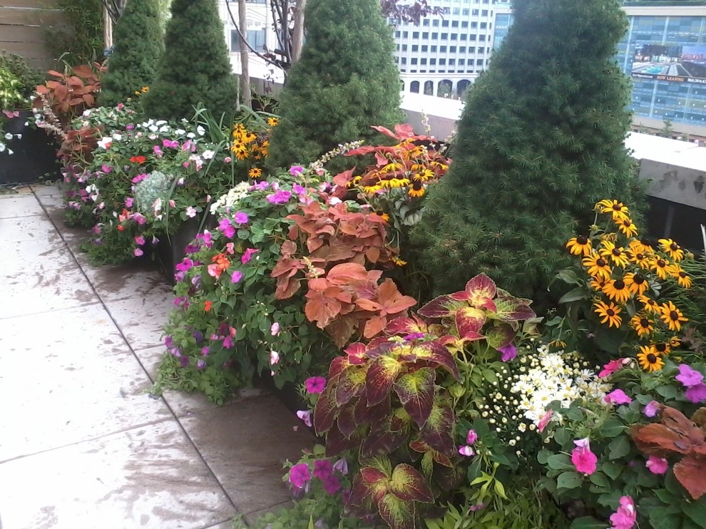 Various NYC Projects by New York Plantings Garden Design - Photo 17