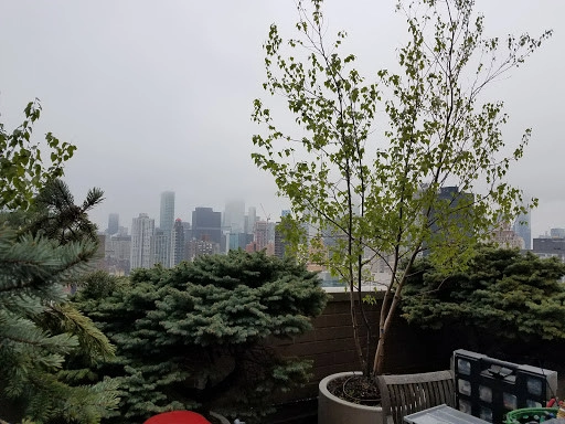 NYC Penthouse Terrace Garden and Automatic Drip Irrigation watering System by New York Plantings Garden Design - Photo 25