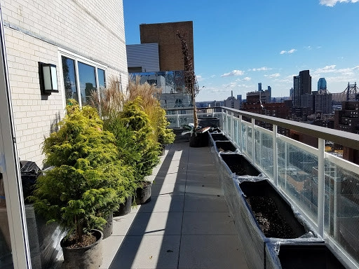 NYC Penthouse Terrace Garden and Automatic Drip Irrigation watering System by New York Plantings Garden Design - Photo 26
