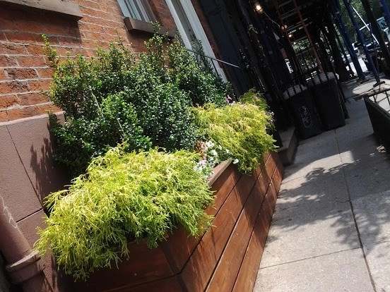 Various NYC Projects by New York Plantings Garden Design - Photo 19