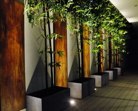 Various NYC Projects by New York Plantings Garden Design - Photo 3
