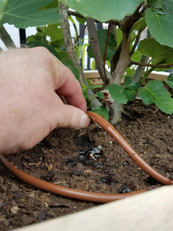 NYC Penthouse Terrace Garden and Automatic Drip Irrigation watering System by New York Plantings Garden Design - Photo 38