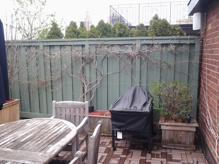 Various NYC Projects by New York Plantings Garden Design - Photo 21