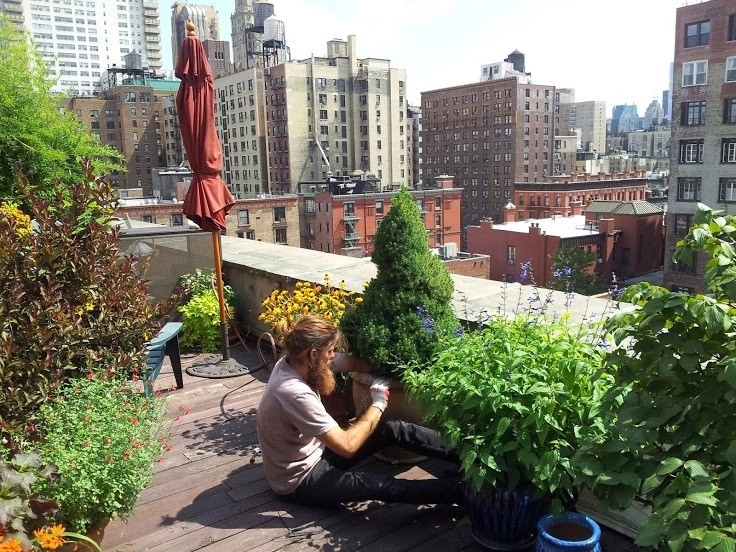 Various NYC Projects by New York Plantings Garden Design - Photo 16