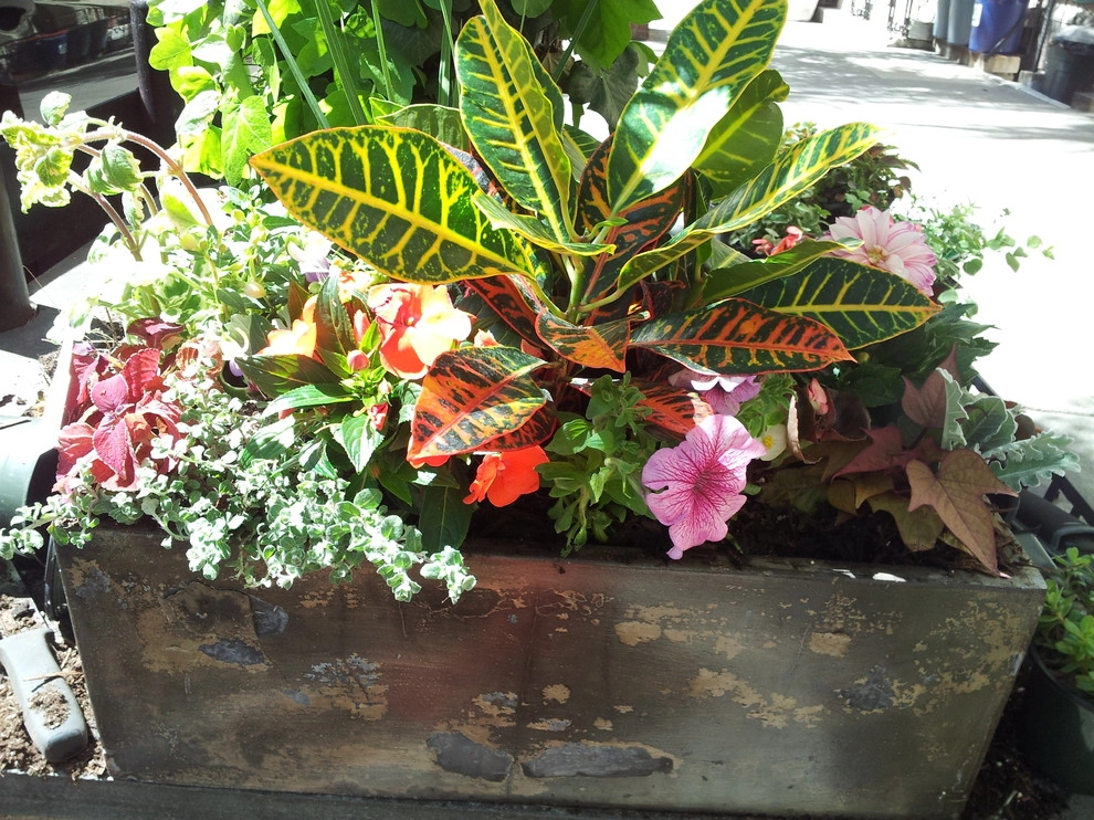 Various NYC Projects by New York Plantings Garden Design - Photo 30