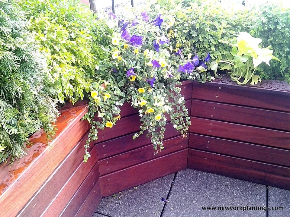 Various NYC Projects by New York Plantings Garden Design - Photo 4