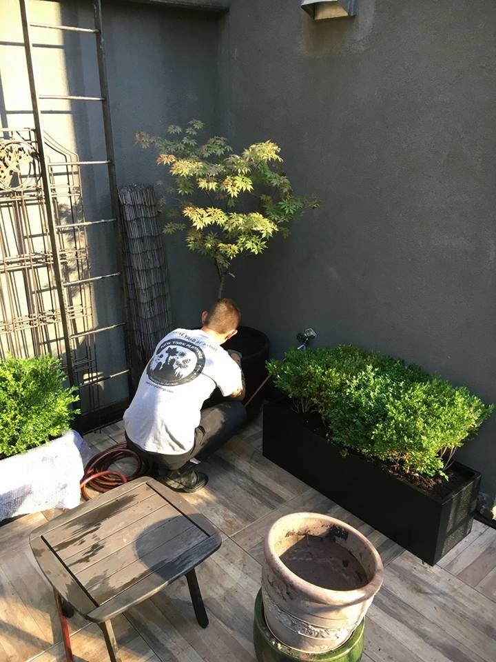 NYC Penthouse Terrace Garden and Automatic Drip Irrigation watering System by New York Plantings Garden Design - Photo 7