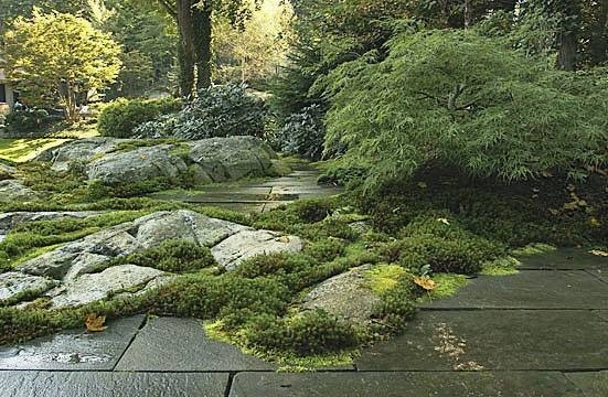 ASIAN GARDEN DESIGN AND LANDSCAPING by New York Plantings Garden Design - Photo 5