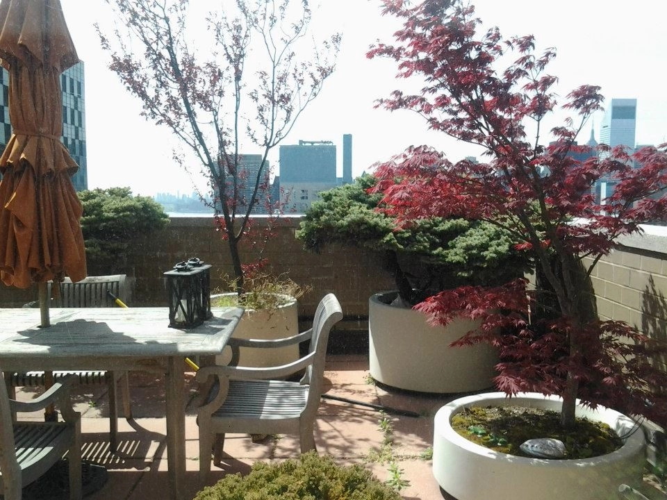 Various NYC Projects by New York Plantings Garden Design - Photo 27