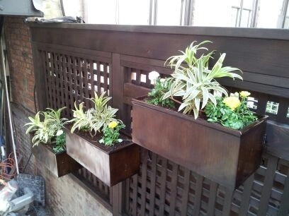 Various NYC Projects by New York Plantings Garden Design - Photo 5